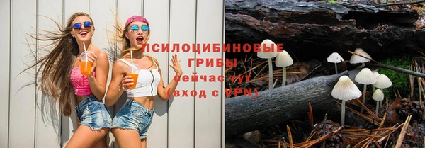 меф Ладушкин