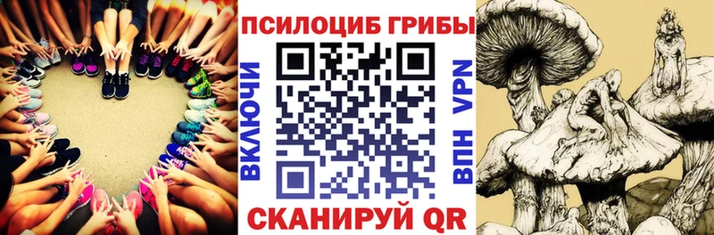 Псилоцибиновые грибы прущие грибы как найти MEGA tor Томск