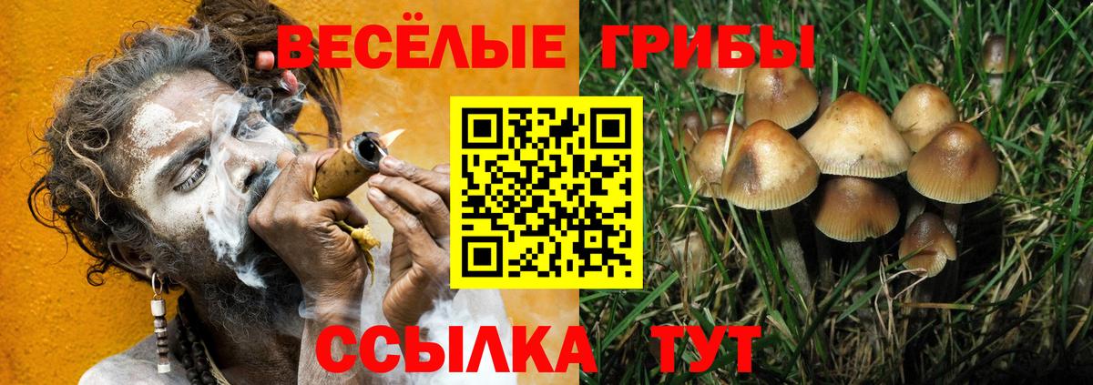 Томск  где купить   Вход с VPN  Псилоцибиновые грибы Psilocybine cubensis  Псилоцибиновые грибы мухоморы 