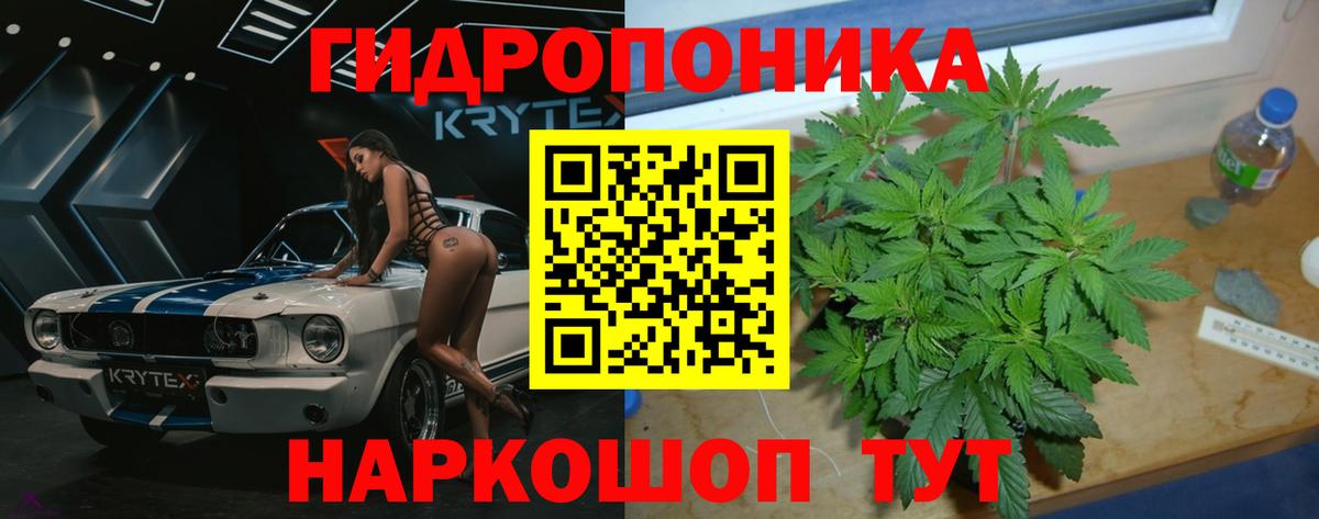 Каннабис конопля  Каннабис марихуана  Бошки марихуана AK-47  Томск  Вход с VPN  Конопля MAZAR 